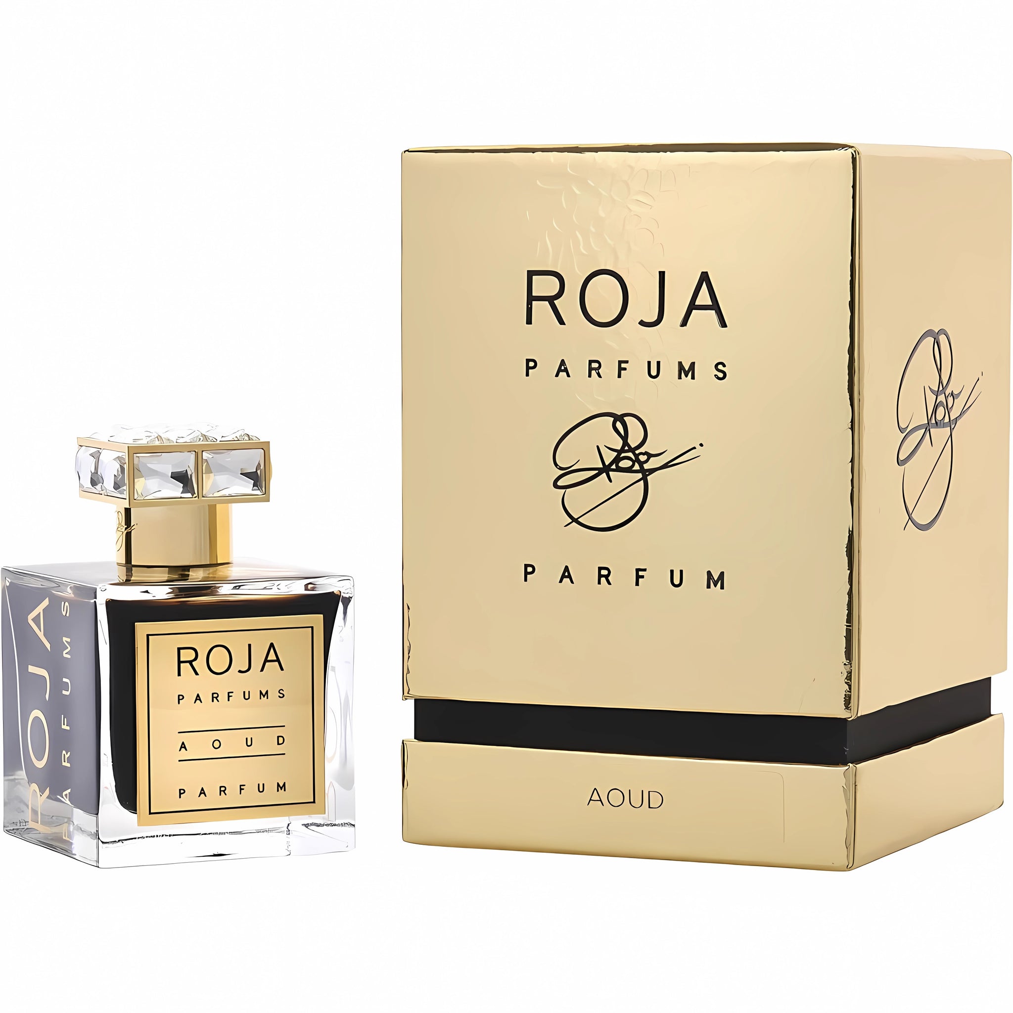 Roja Parfums Unisex 3.4 Ounce AOUD Eau de Parfum-Inscentives Perfume