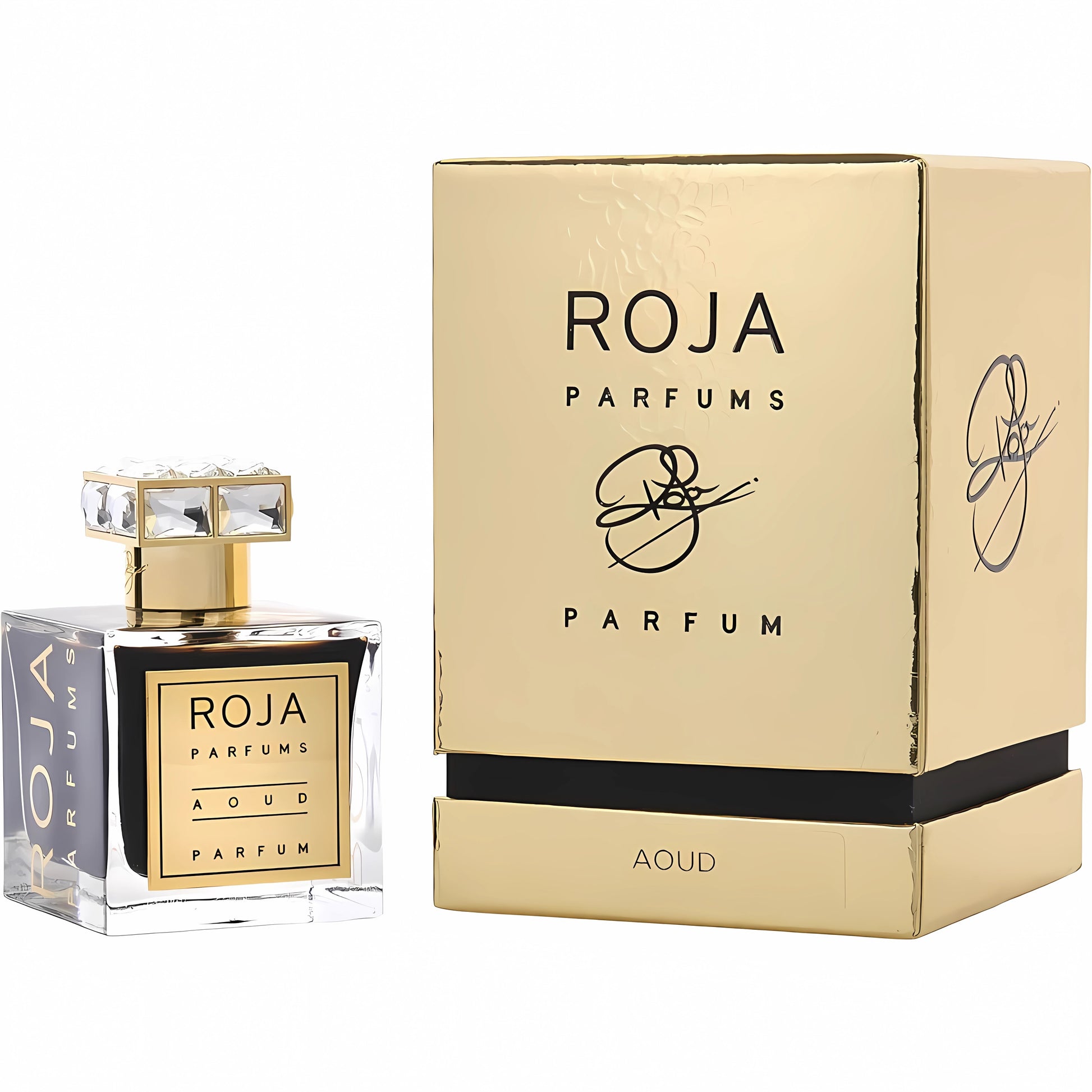 Roja Parfums Unisex 3.4 Ounce AOUD Eau de Parfum-Inscentives Perfume